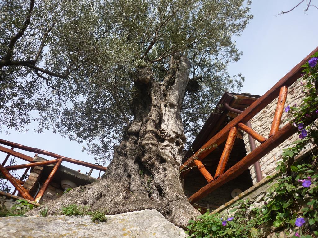 Rocca Del Vento Bed & Breakfast San Pantaleone Eksteriør bilde