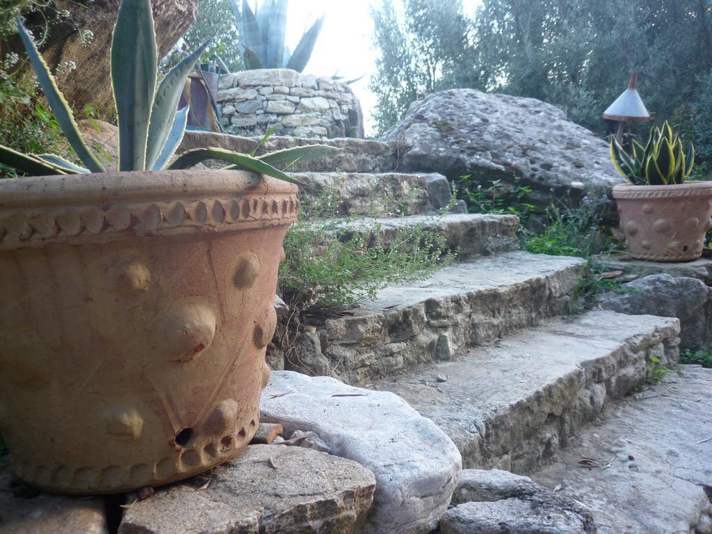 Rocca Del Vento Bed & Breakfast San Pantaleone Eksteriør bilde