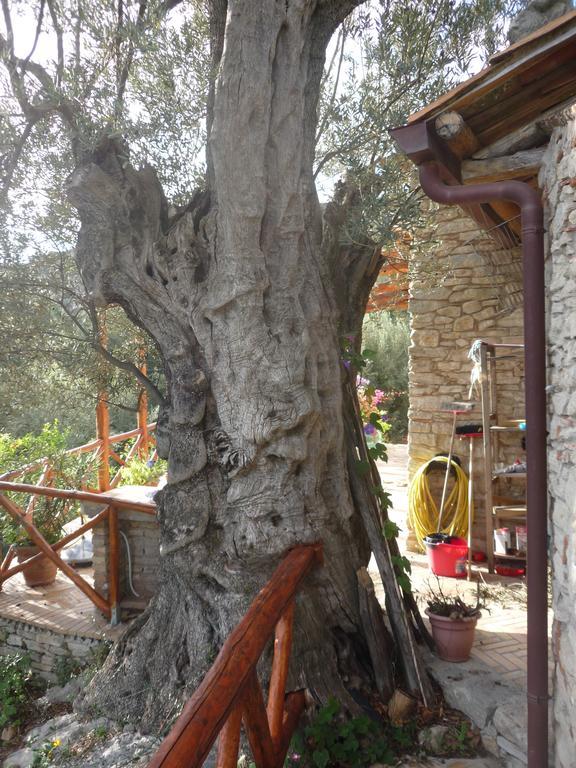 Rocca Del Vento Bed & Breakfast San Pantaleone Eksteriør bilde