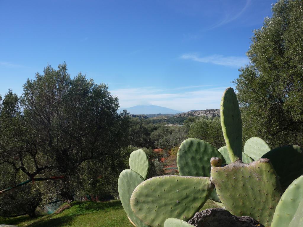Rocca Del Vento Bed & Breakfast San Pantaleone Eksteriør bilde