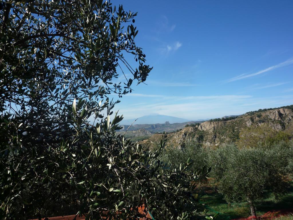 Rocca Del Vento Bed & Breakfast San Pantaleone Eksteriør bilde