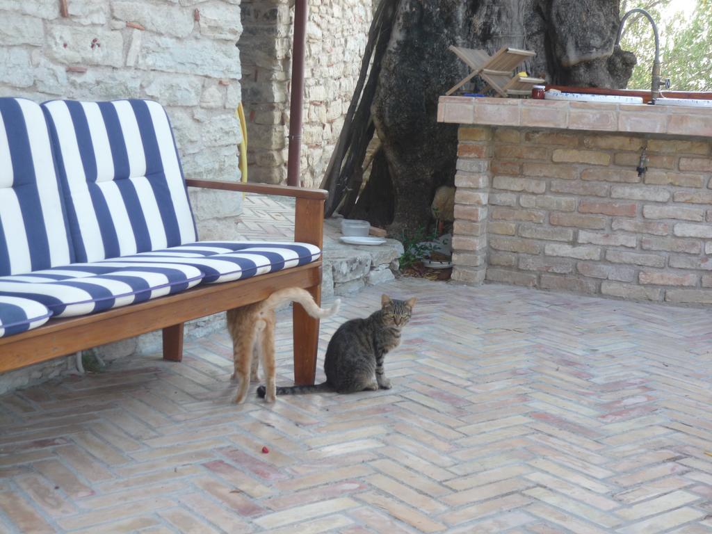 Rocca Del Vento Bed & Breakfast San Pantaleone Eksteriør bilde
