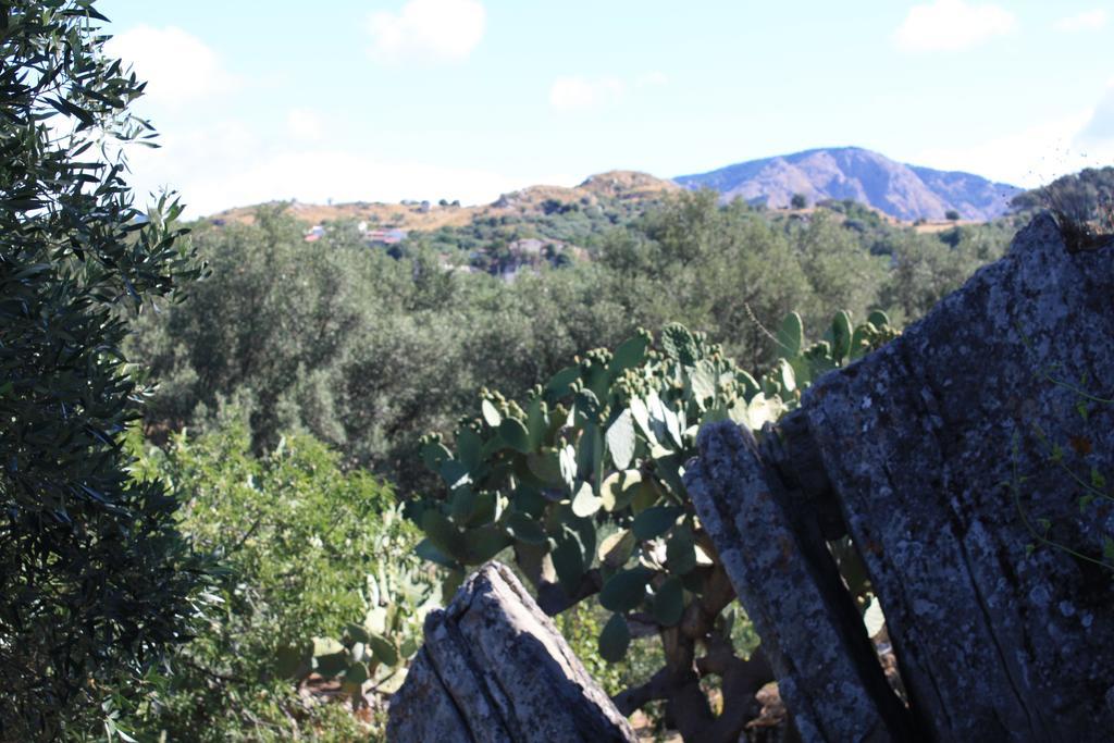 Rocca Del Vento Bed & Breakfast San Pantaleone Eksteriør bilde